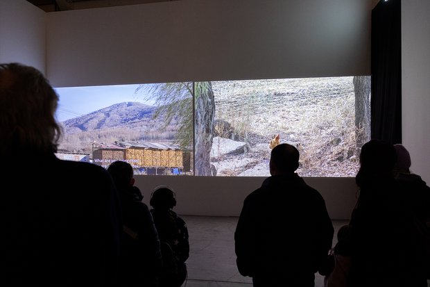 Die Arbeit 'Hostile Landscapes' von Hanwen Zhang während der jüngsten Eröffnung.
